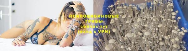 гашиш Белокуриха